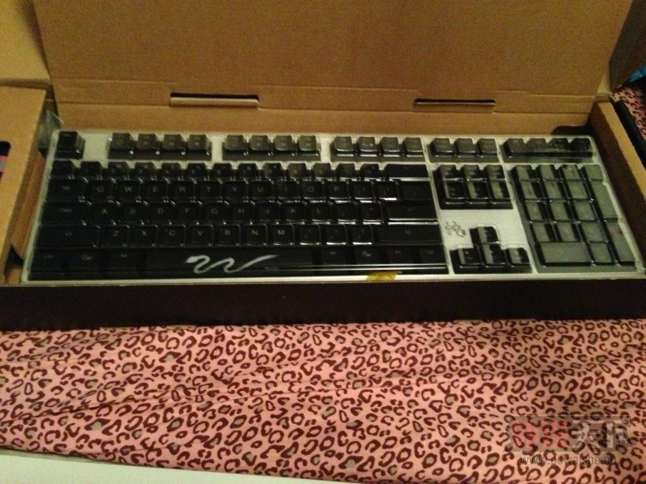 DUCKY ������������⣬���б�Ů����Ƭ�
