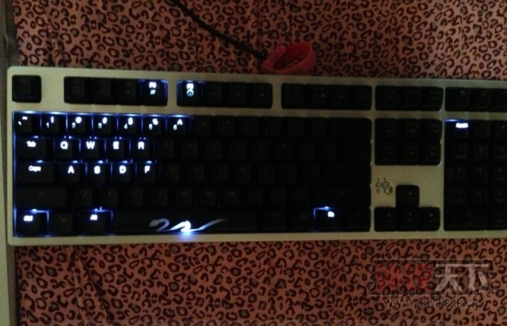 DUCKY ������������⣬���б�Ů����Ƭ�