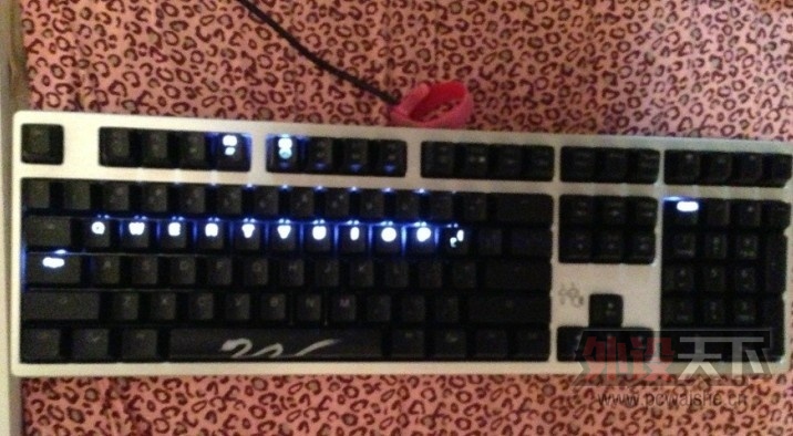 DUCKY ������������⣬���б�Ů����Ƭ�