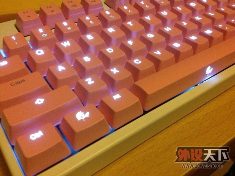 9�� ducky spring 104���� �ۺͰ� [�ѳ�]