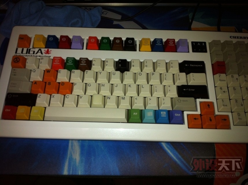 ����LUGA1865����