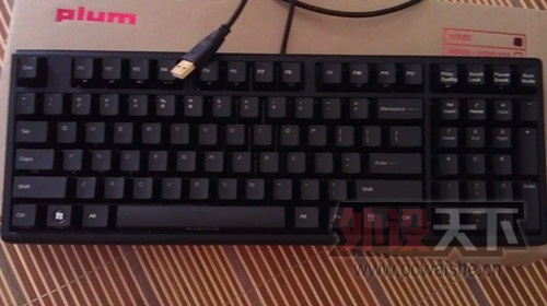 ���ڳ���PLUM96�������һ���������ڡ�249�㶫ʡ��˳��
