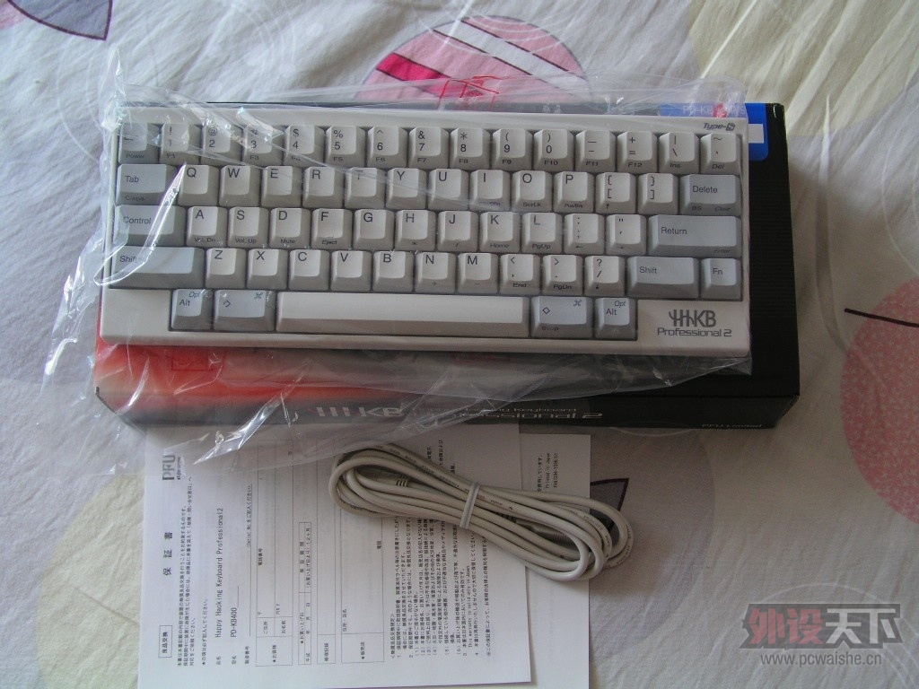 P8100069.jpg