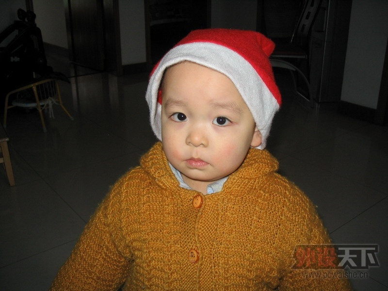 IMG_3255.JPG