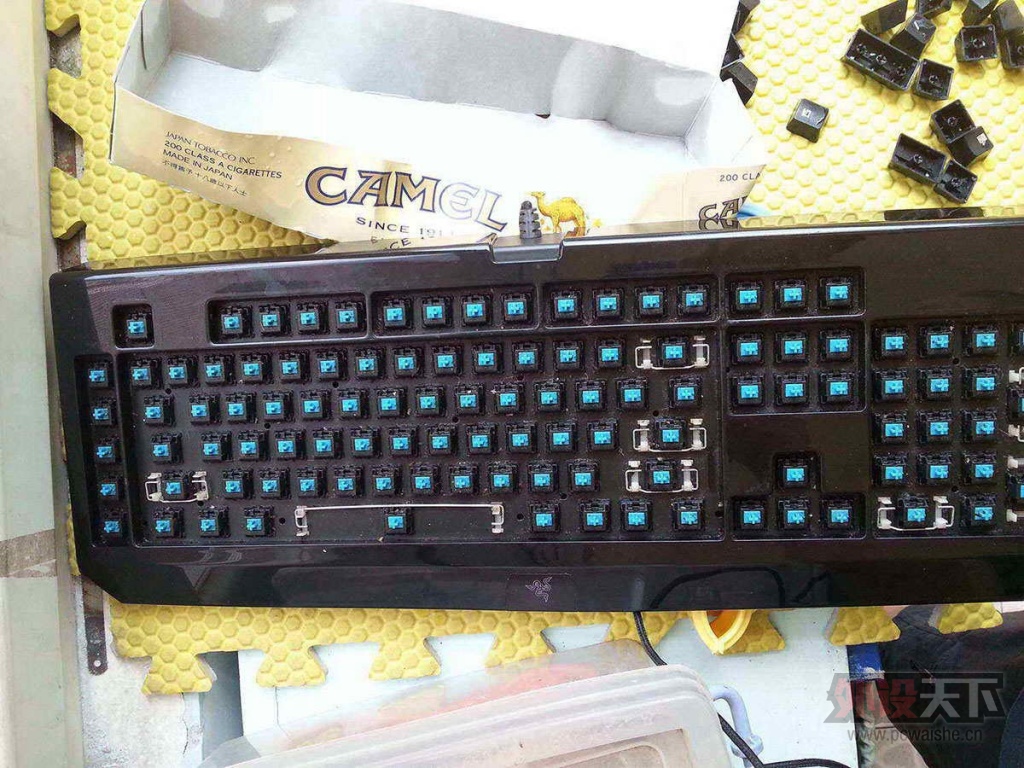 20130811_130201.jpg
