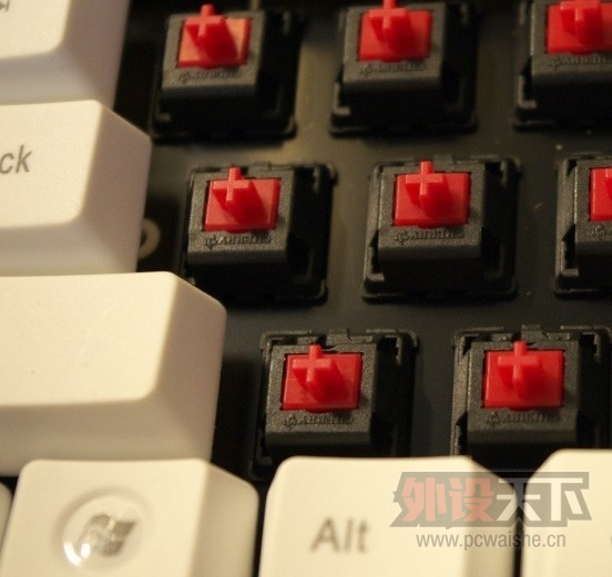 ڿ84PBT׺Ļ˼