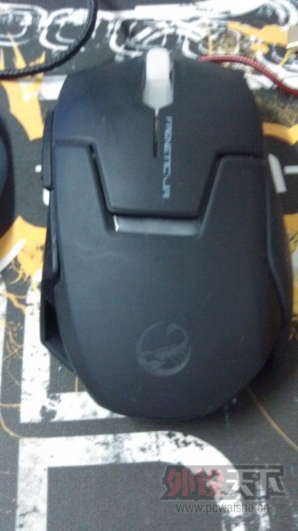 IMG_20130813_135017.jpg