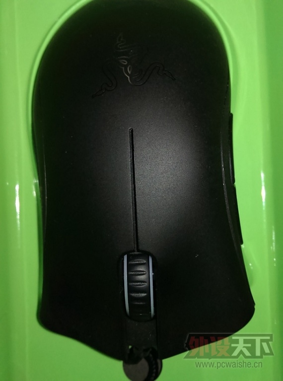 IMAG0055.jpg