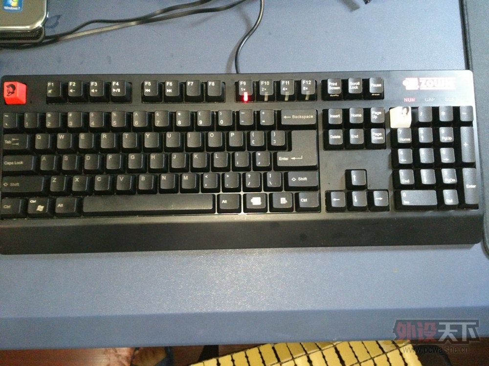 DSC_0102.jpg