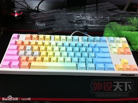 99���� ��KBC�ʺ��Ⱦ ��� 87ȫ�� PBT���� filco plu ducky��