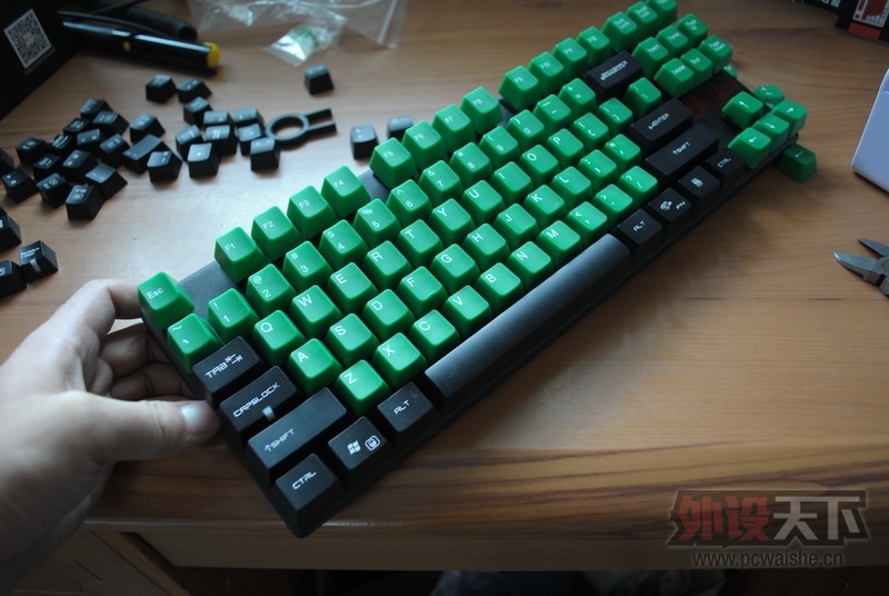 ��ɫ��ñ�����ġ�Ѫ�������Լ��̿����ƶ�ֻΪ����һ���ᡣ