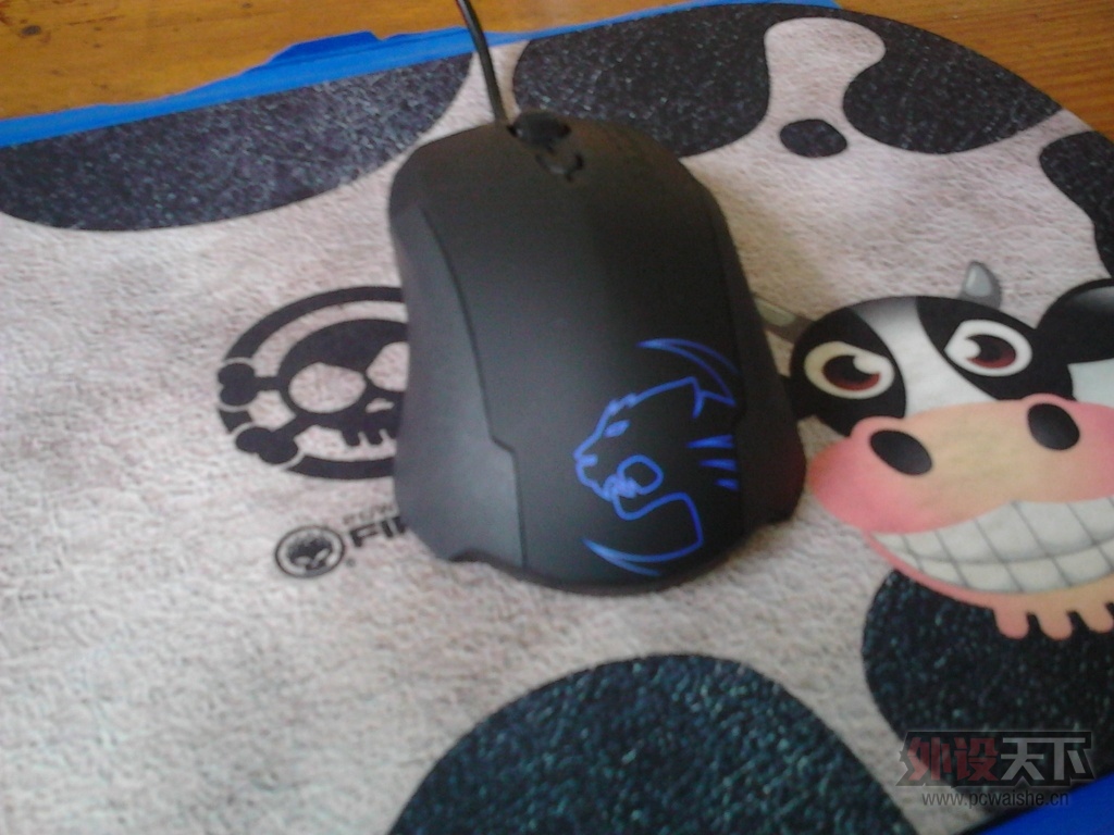 IMG_20130817_121623.jpg