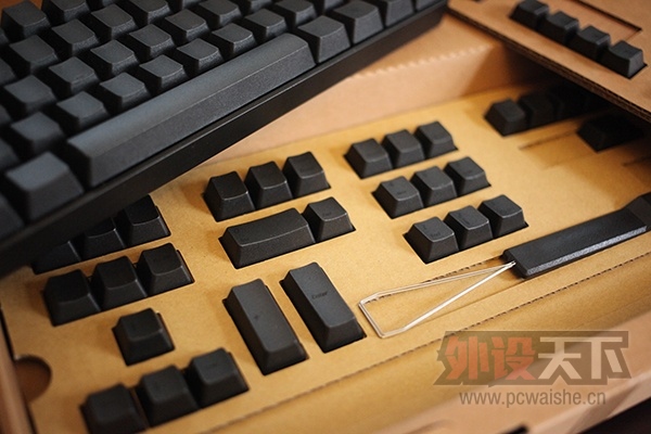 ���ѳ�����һֻpoker2����