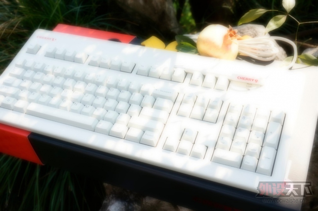 cherry 3494����԰��һ���Σ�