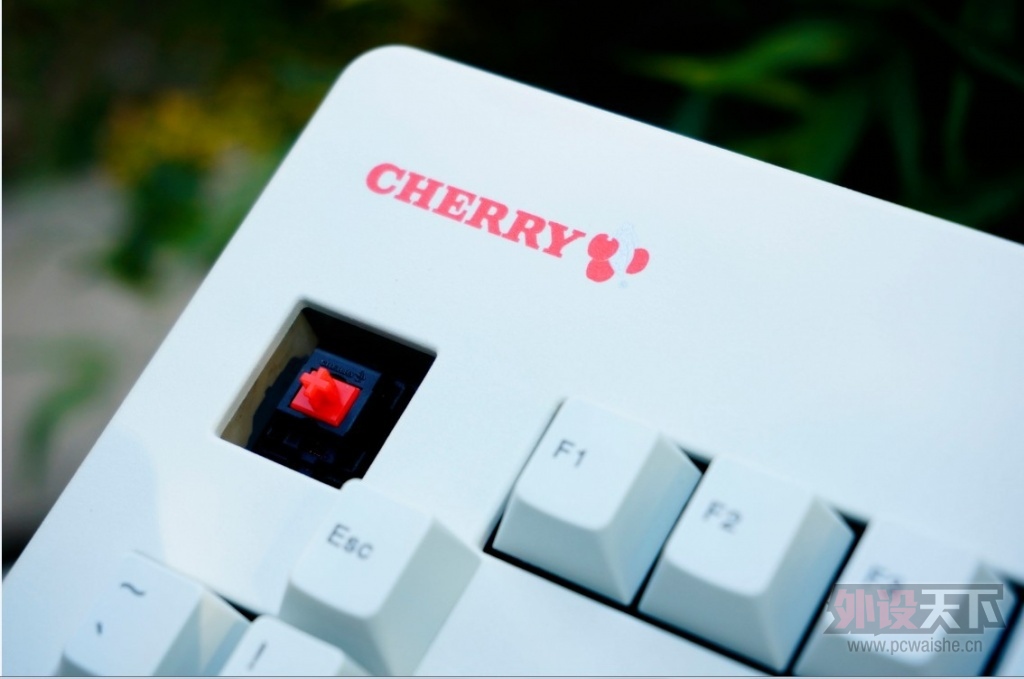 cherry 3494����԰��һ���Σ�