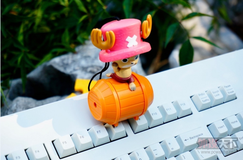 cherry 3494����԰��һ���Σ�