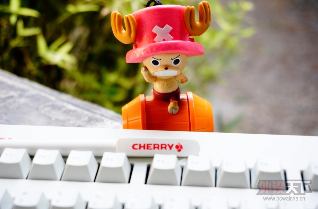 cherry 3494����԰��һ���Σ�