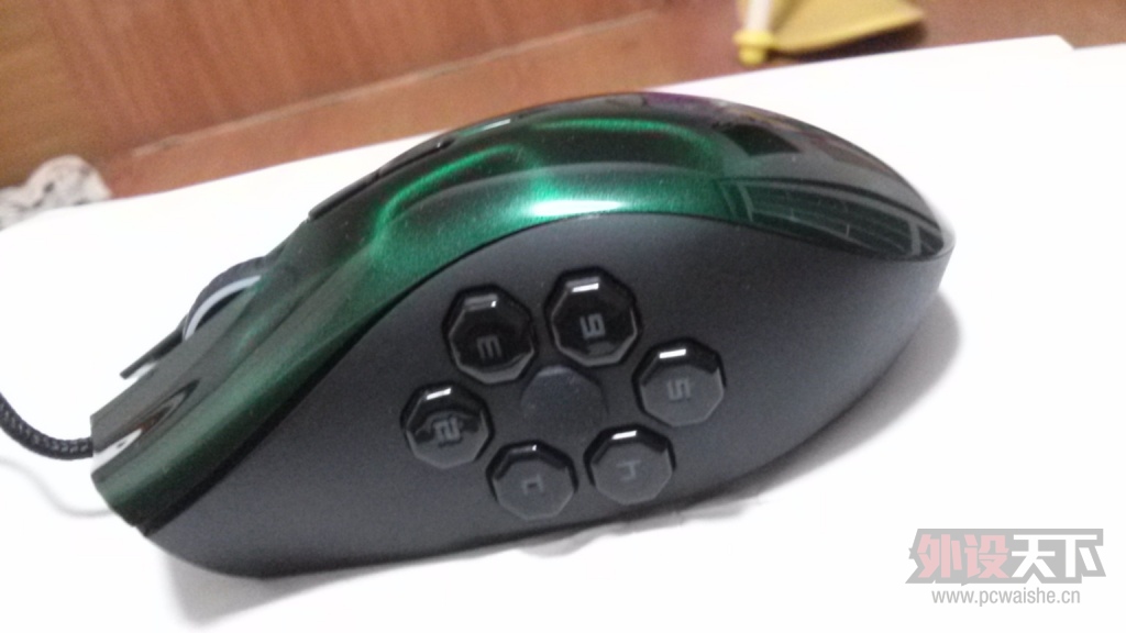 CAM00305.jpg