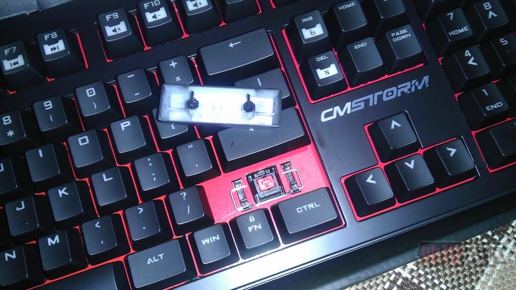 IMAG0257.jpg
