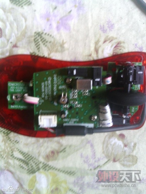 ��������  IEFK �����WMO �������