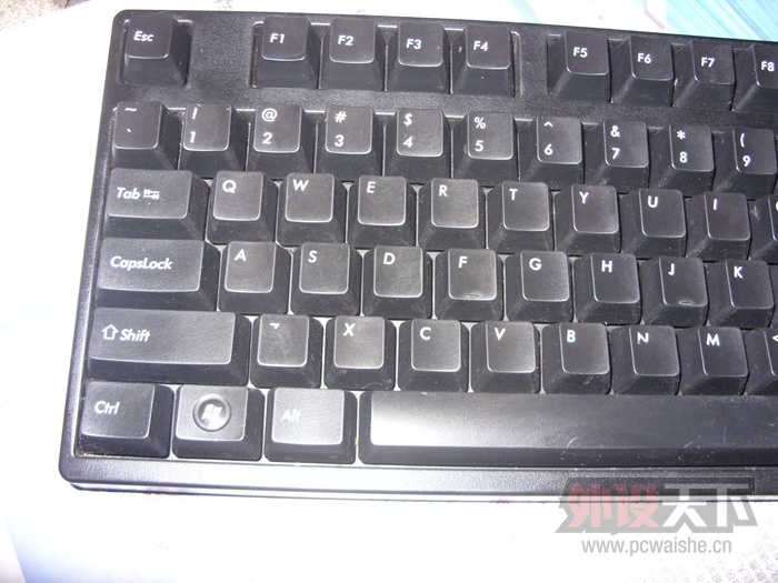 SDC12732.jpg