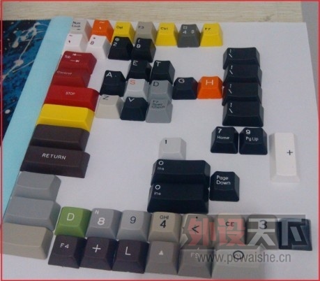 ���ѳ����ײ˼�һ��1��Ǯ����һЩ��ɫ/PBT��ð������