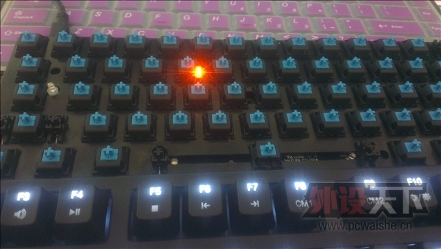 pr_IMAG0380.jpg