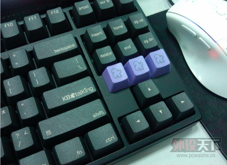 ʱ50095KBT ONI PBT汾ᣬ31Żָԭ۳