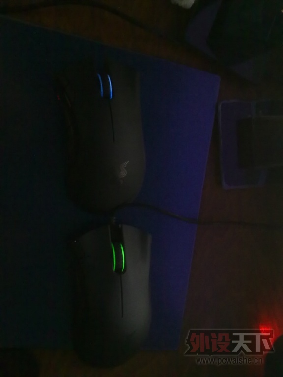 20100101019.jpg