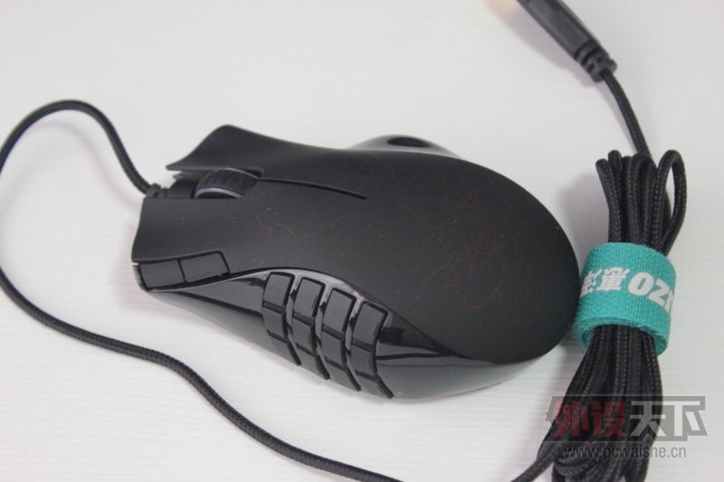 DPP_0008.JPG