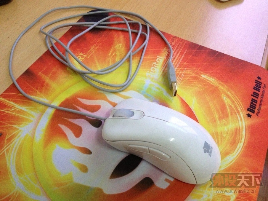 ����EC2 EVO��ɫ����� 260Ԫ