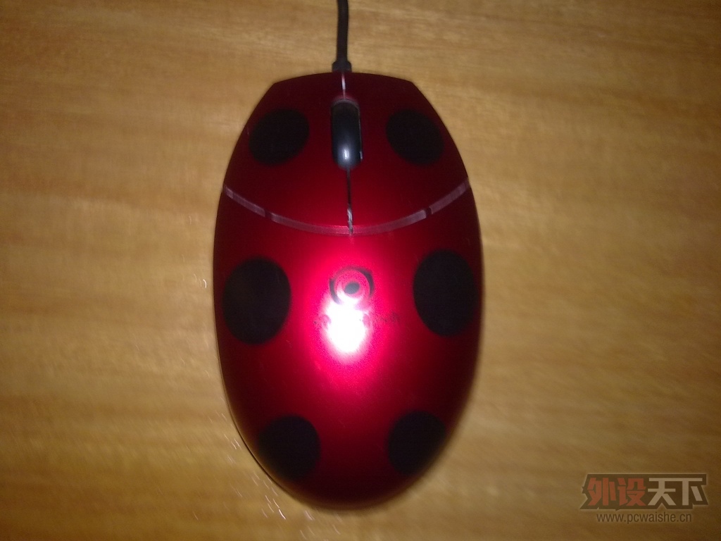 20130830196.jpg