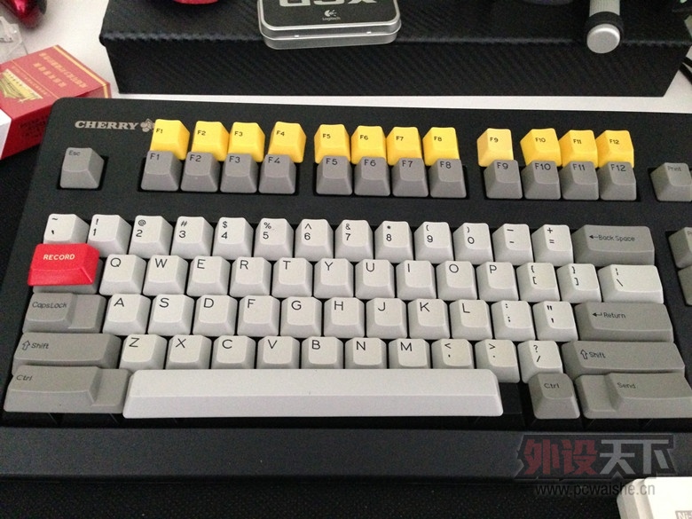 T1ECSwFhBeXXb1upjX.jpg
