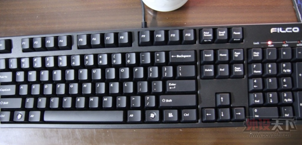 �������FILCOʥ��һ����