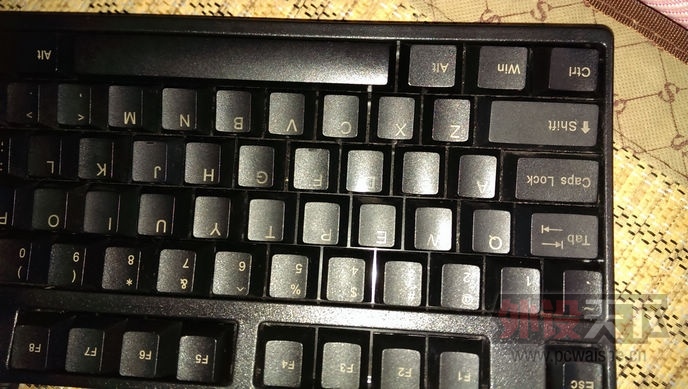 IMAG0202.jpg