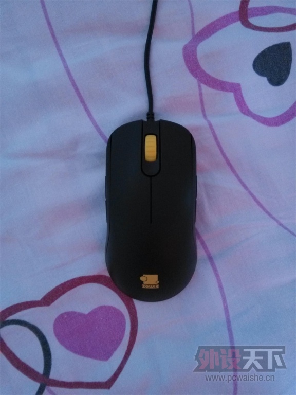 ���ѳ�����9��ZOWIE FK��� ����