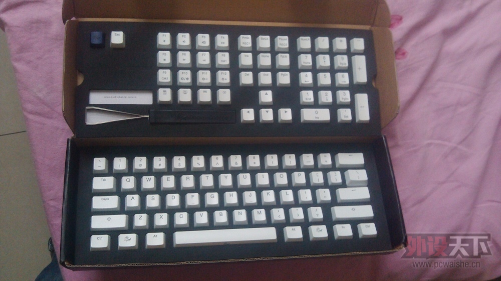 duckyɫ͸Ӣ̼ñ