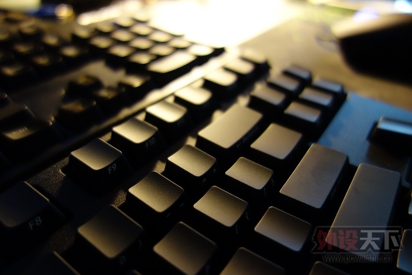 Filco 87࿪