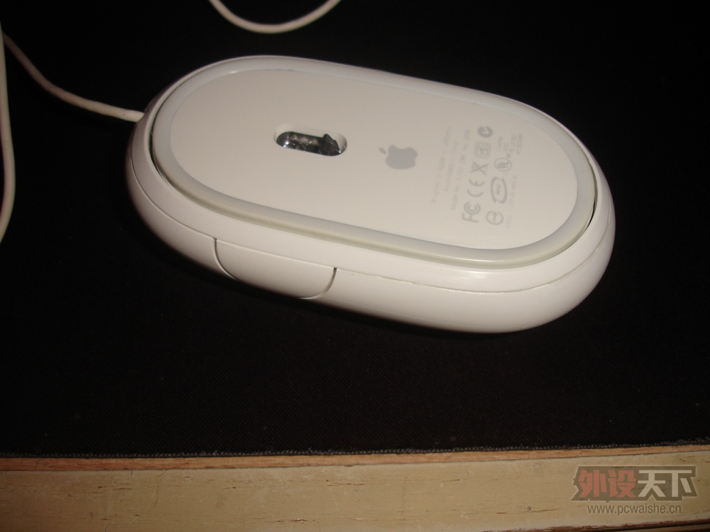 DSC00370.JPG