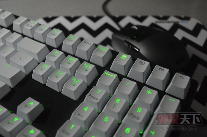 [10P] С������ɫ����G9X DUCKY �ڰ� ��~