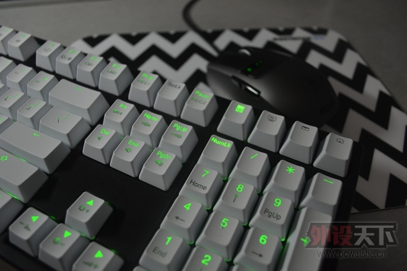 [10P] С������ɫ����G9X DUCKY �ڰ� ��~