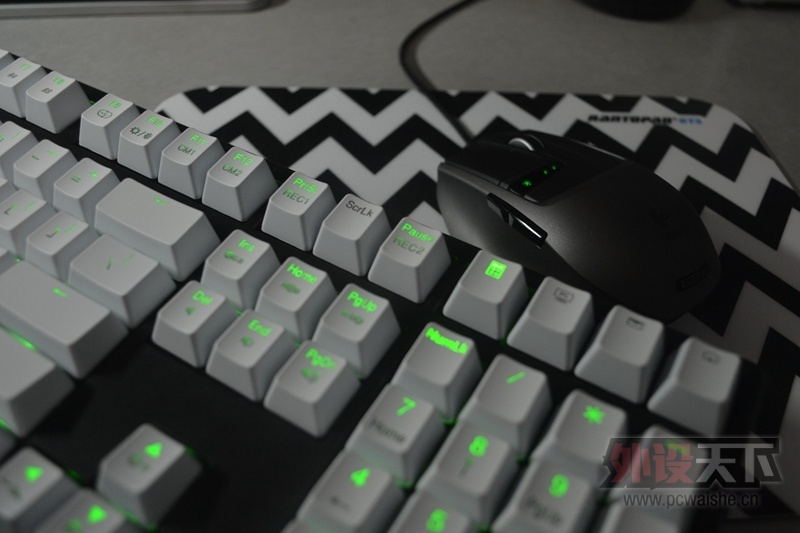 [10P] С������ɫ����G9X DUCKY �ڰ� ��~