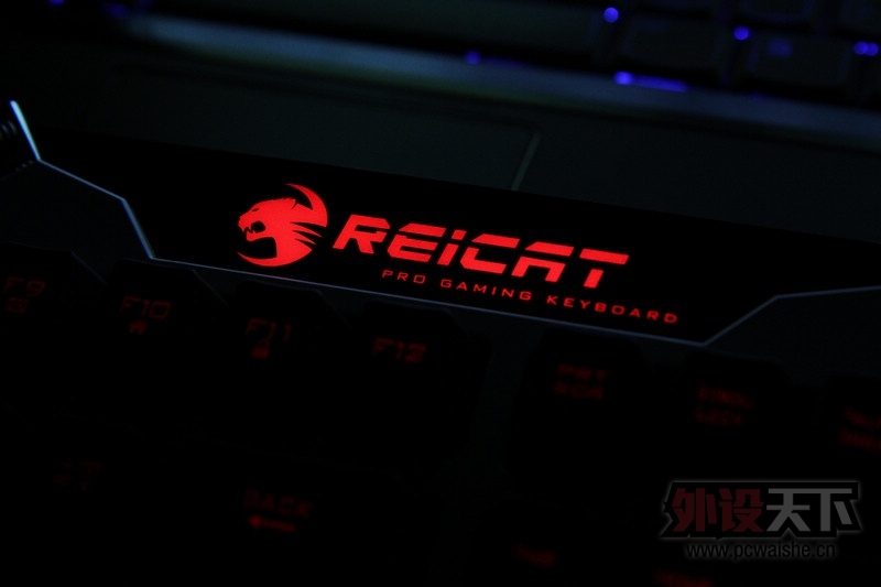 һ�������ᡪ��Reicat�׿��� S560׷�����&RK300������Ϸ������̸