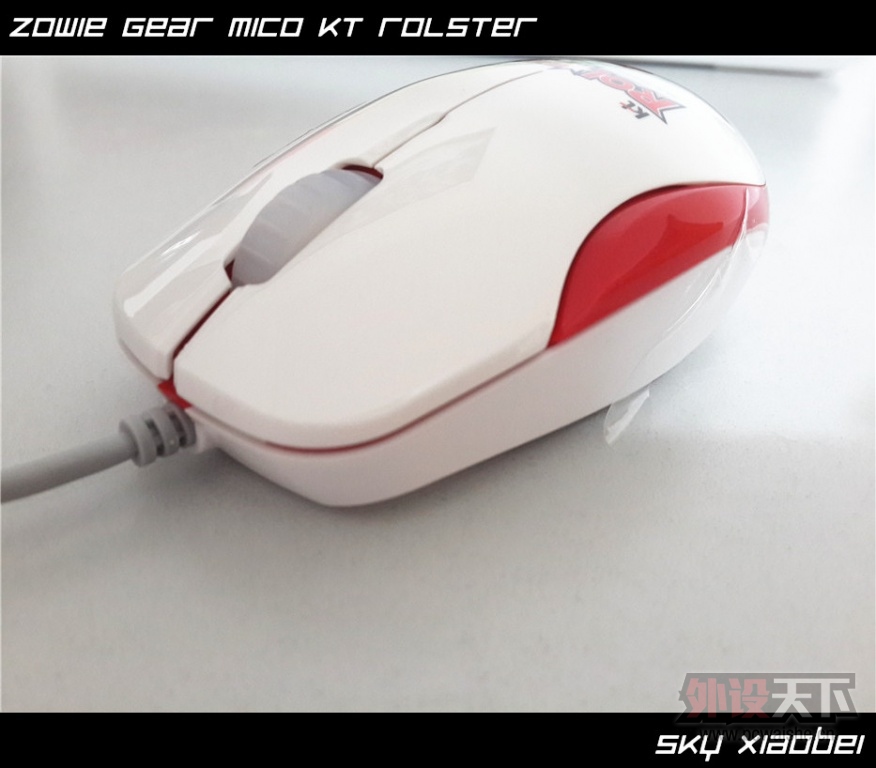 [8P] ��С�����ա� ZOWIE GEAR MiCO KT Rolster