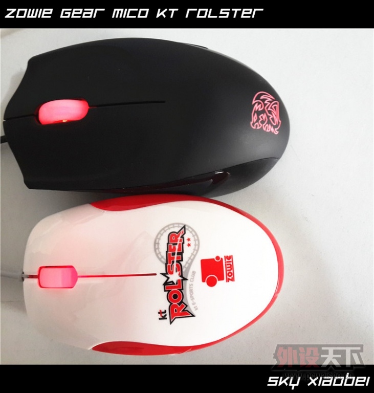 [8P] ��С�����ա� ZOWIE GEAR MiCO KT Rolster