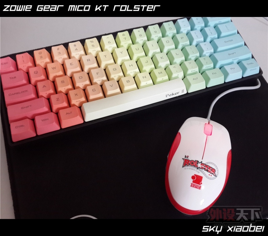 [8P] ��С�����ա� ZOWIE GEAR MiCO KT Rolster