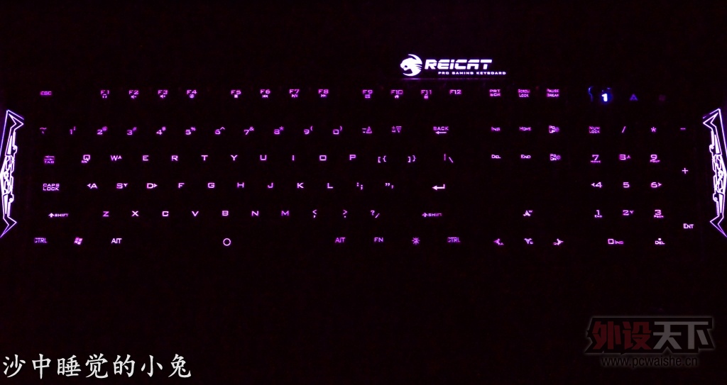 ��С�á�������ɽկ��Reicat�׿���RK300�������+S560׷���������С̸