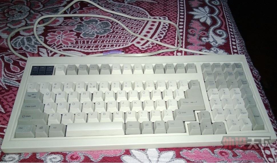 �����ա�