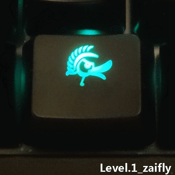 ��������Ѽ�ӡ���DUCKY Shine3 S3 ��̳��������