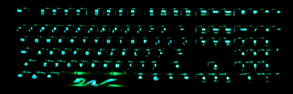 ��������Ѽ�ӡ���DUCKY Shine3 S3 ��̳��������